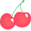 Two dark pink cherries