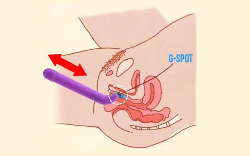 Diagram with red arrows aligned with purple g-spot vibrator thurst angle